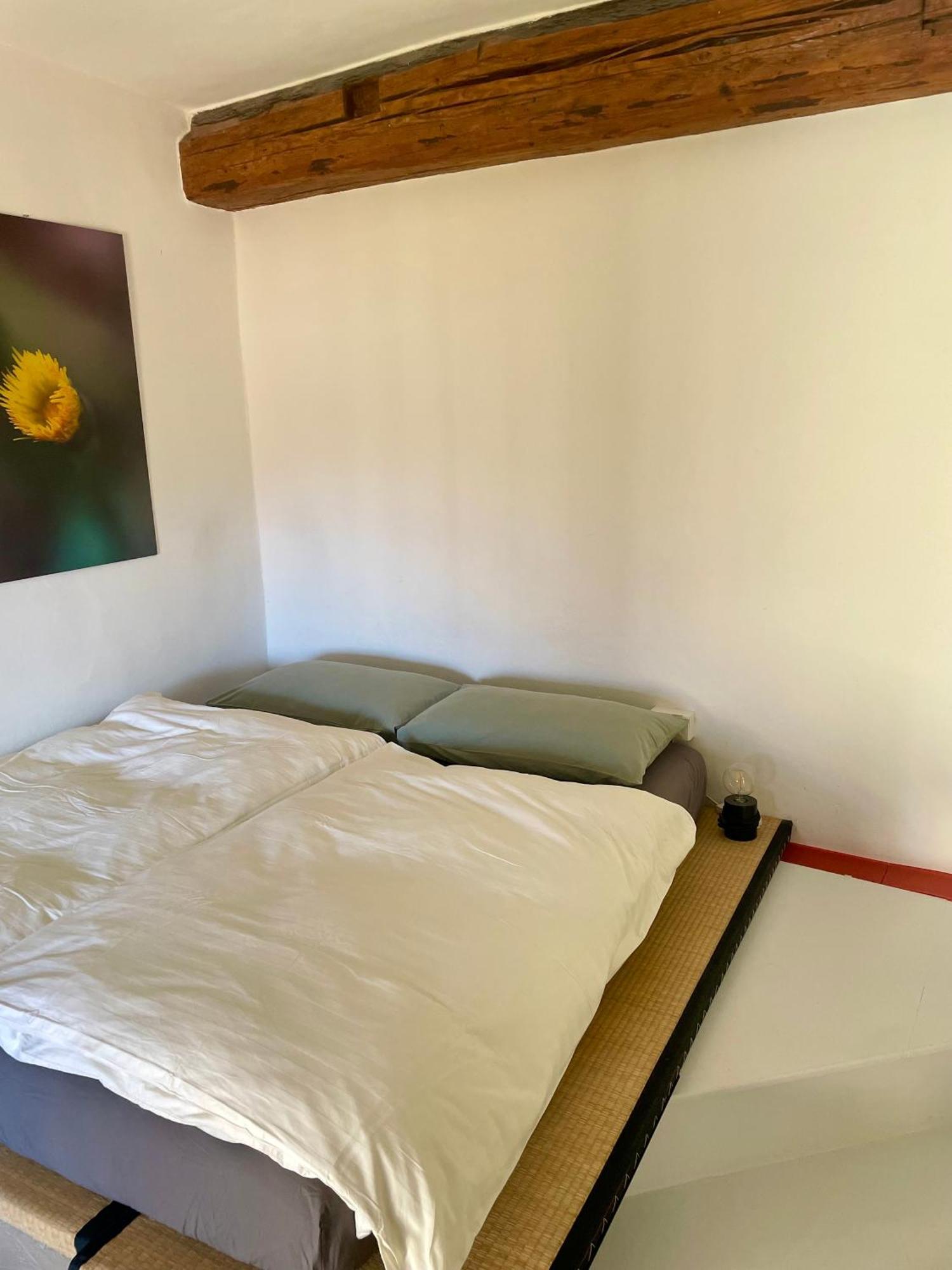 Appartamento Sui Tetti Del Centro Storico Rovereto (Trentino Alto Adige) Exterior foto